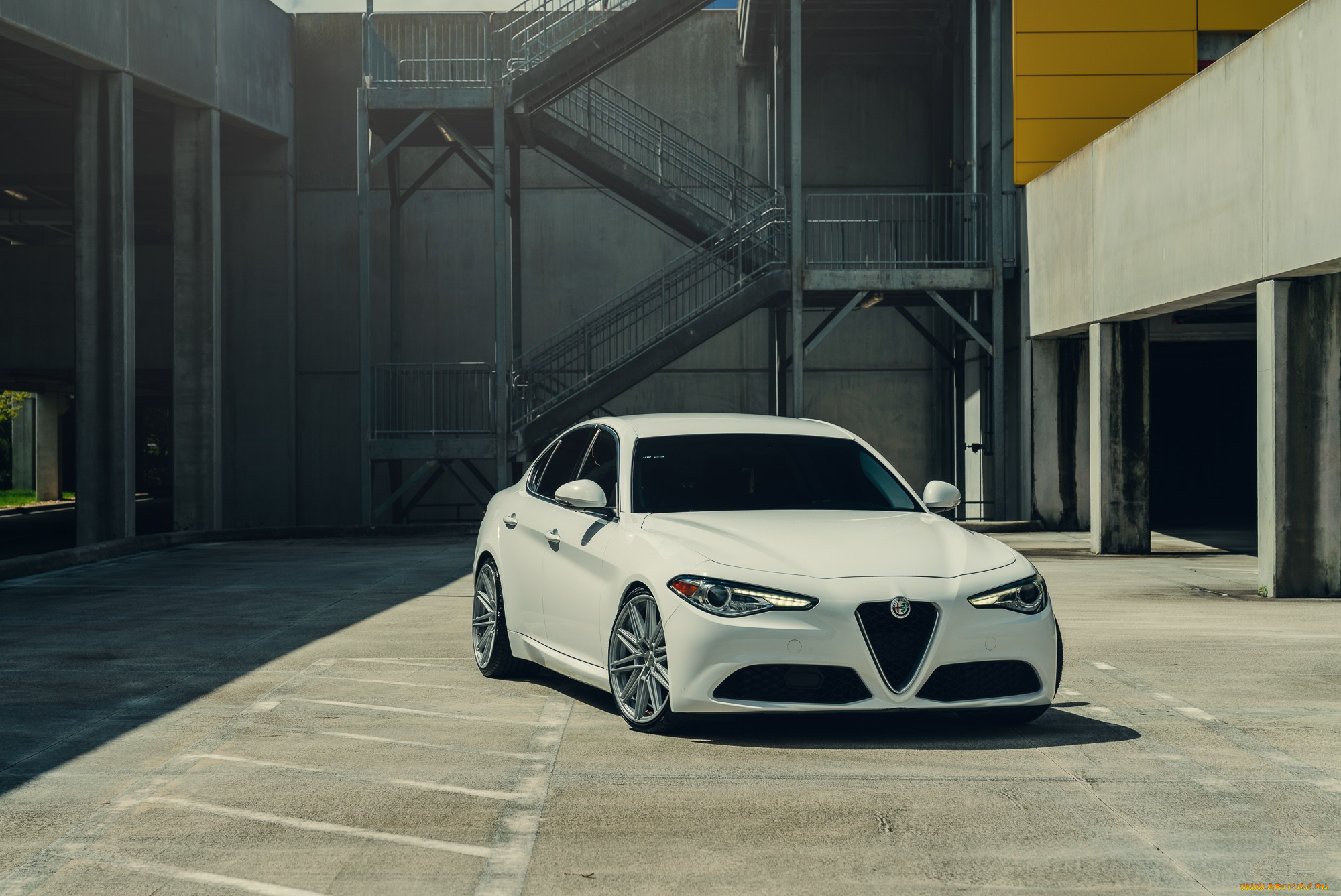 , alfa romeo, white, alfa, romeo, giulia